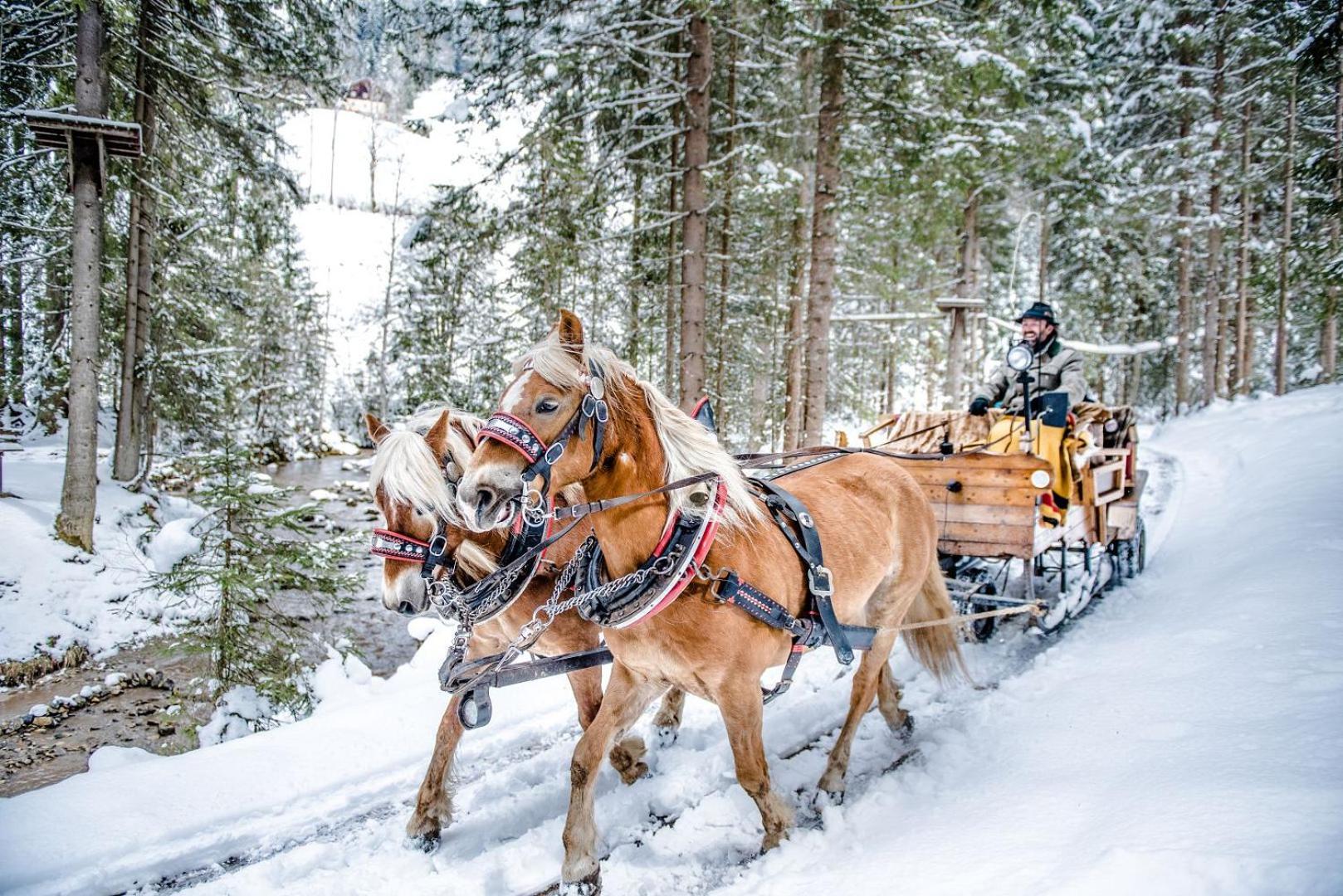 Hotel Sportalmmm, Hoch-Genuss (Adults Only) ツァウヘンゼー エクステリア 写真